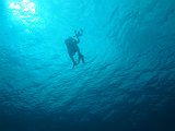 Curacao 04-12 142